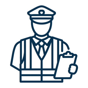 Parking Professional to Manage Your Site icon